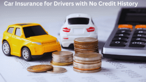 Car Insurance for Drivers with No Credit History